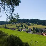 Auerhahn - Black Forest - Waldhotel