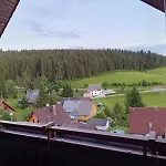 ホテル Auerhahn - Black Forest - Waldhotel アイゼンバッハ