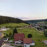 Auerhahn - Black Forest - Waldhotel 3* アイゼンバッハ