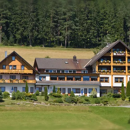 Auerhahn - Black Forest - Waldhotel ホテル アイゼンバッハ