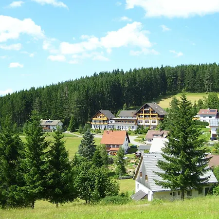 Auerhahn - Black Forest - Waldhotel