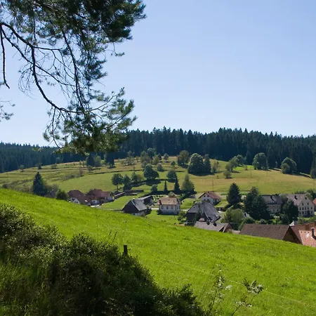 Auerhahn - Black Forest - Waldhotel