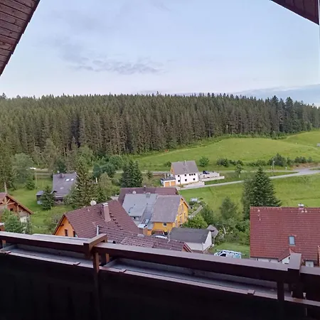 Hotel Auerhahn - Black Forest - Waldhotel Eisenbach (Breisgau-Hochschwarzwald)