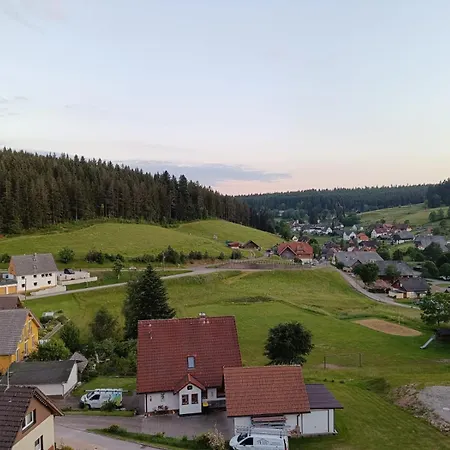 Auerhahn - Black Forest - Waldhotel 3* Eisenbach (Breisgau-Hochschwarzwald)