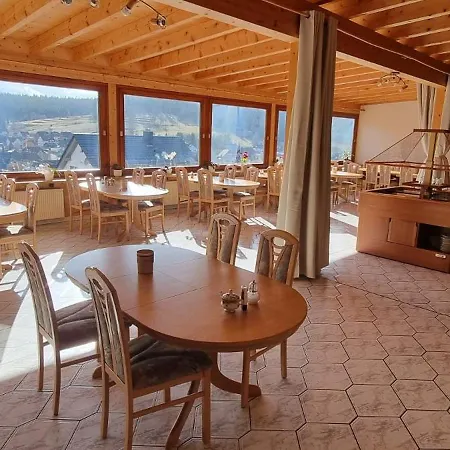 Auerhahn - Black Forest - Waldhotel ホテル