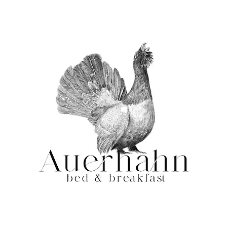 Auerhahn - Black Forest - Waldhotel ホテル アイゼンバッハ