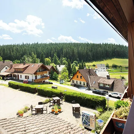 Auerhahn - Black Forest - Waldhotel Eisenbach (Breisgau-Hochschwarzwald)