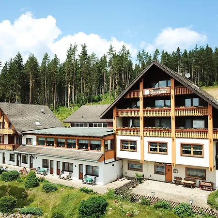 Auerhahn - Black Forest - Waldhotel