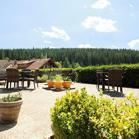Auerhahn - Black Forest - Waldhotel Eisenbach (Breisgau-Hochschwarzwald)