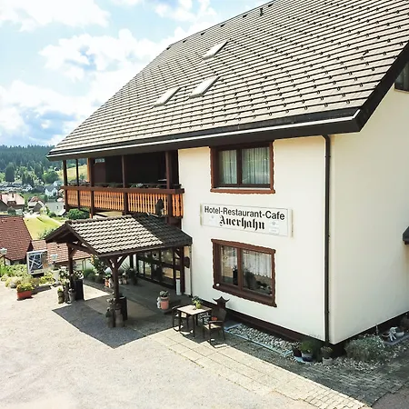 Auerhahn - Black Forest - Waldhotel Hotel
