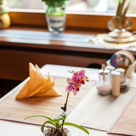 Auerhahn - Black Forest - Waldhotel