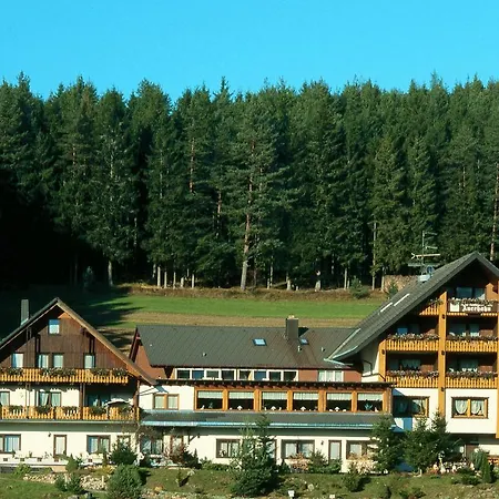 Auerhahn - Black Forest - Waldhotel 3* Eisenbach (Breisgau-Hochschwarzwald)