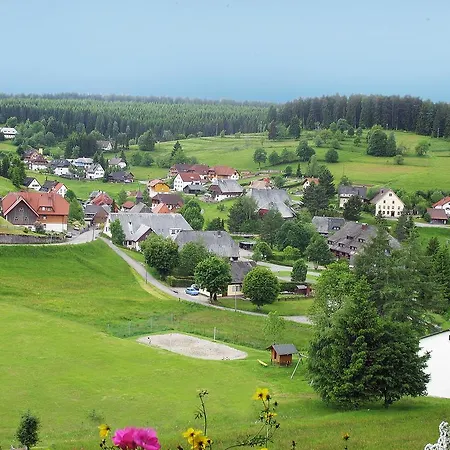 Auerhahn - Black Forest - Waldhotel