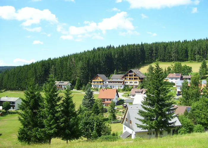 Auerhahn - Black Forest - Waldhotel