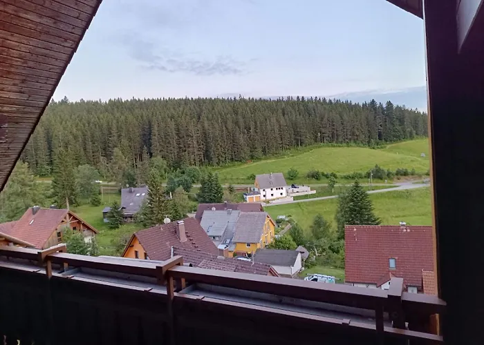 호텔 Auerhahn - Black Forest - Waldhotel 아이젠바흐