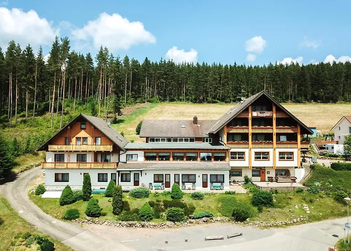Auerhahn - Black Forest - Waldhotel 호텔