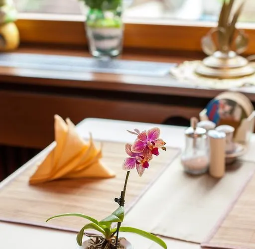 Auerhahn - Black Forest - Waldhotel