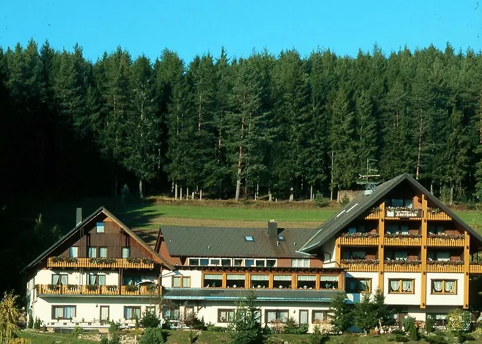 Auerhahn - Black Forest - Waldhotel 3* Айзенбах